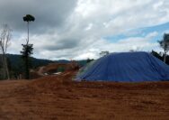 Lokasi PT IMM Desa Yaba, Halmahera Selatan.